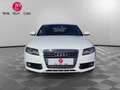 Audi A4 2.0 TDI 143 cv BVA Multitronic S line garantie 12 mois Weiß - thumbnail 5