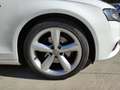Audi A4 2.0 TDI 143 cv BVA Multitronic S line garantie 12 mois Weiß - thumbnail 18