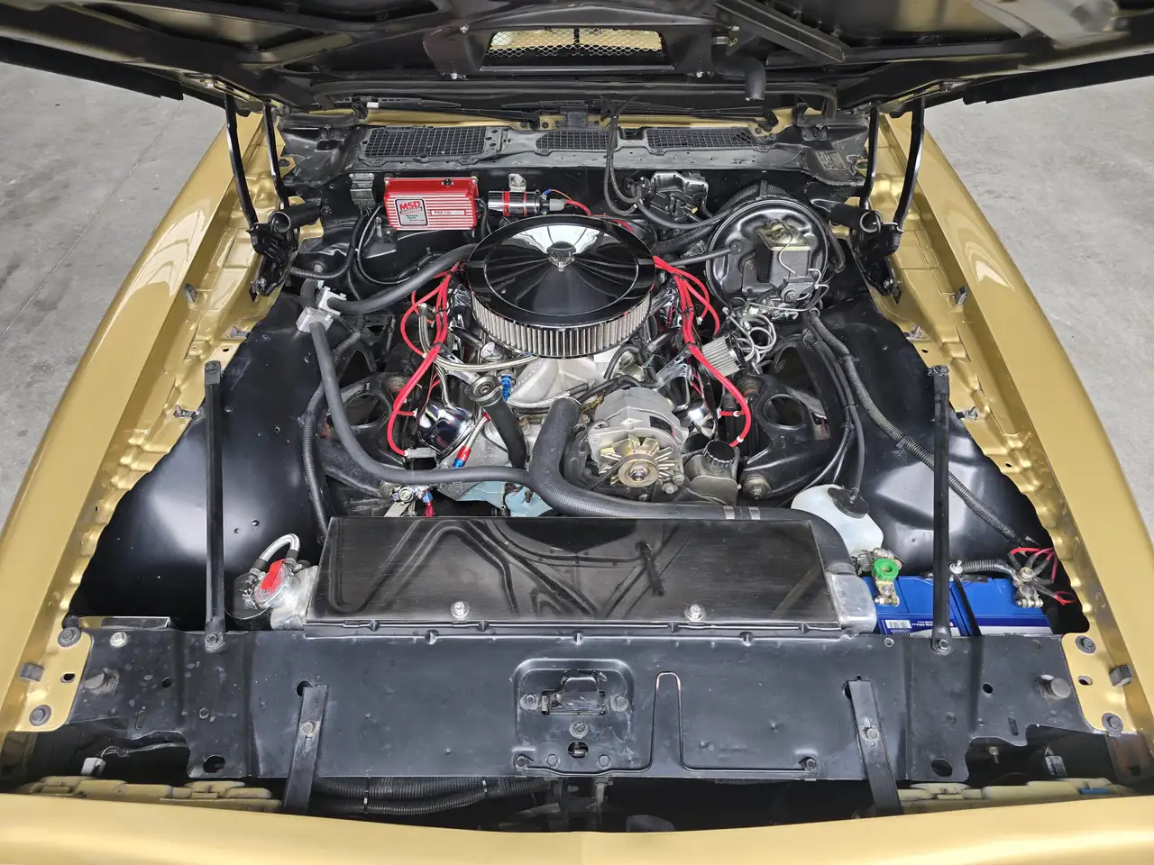 Pontiac Trans Am Firebird 6.6 FW 87 Y88 GOLD SPECIAL EDITION V8 6.6, foto 10