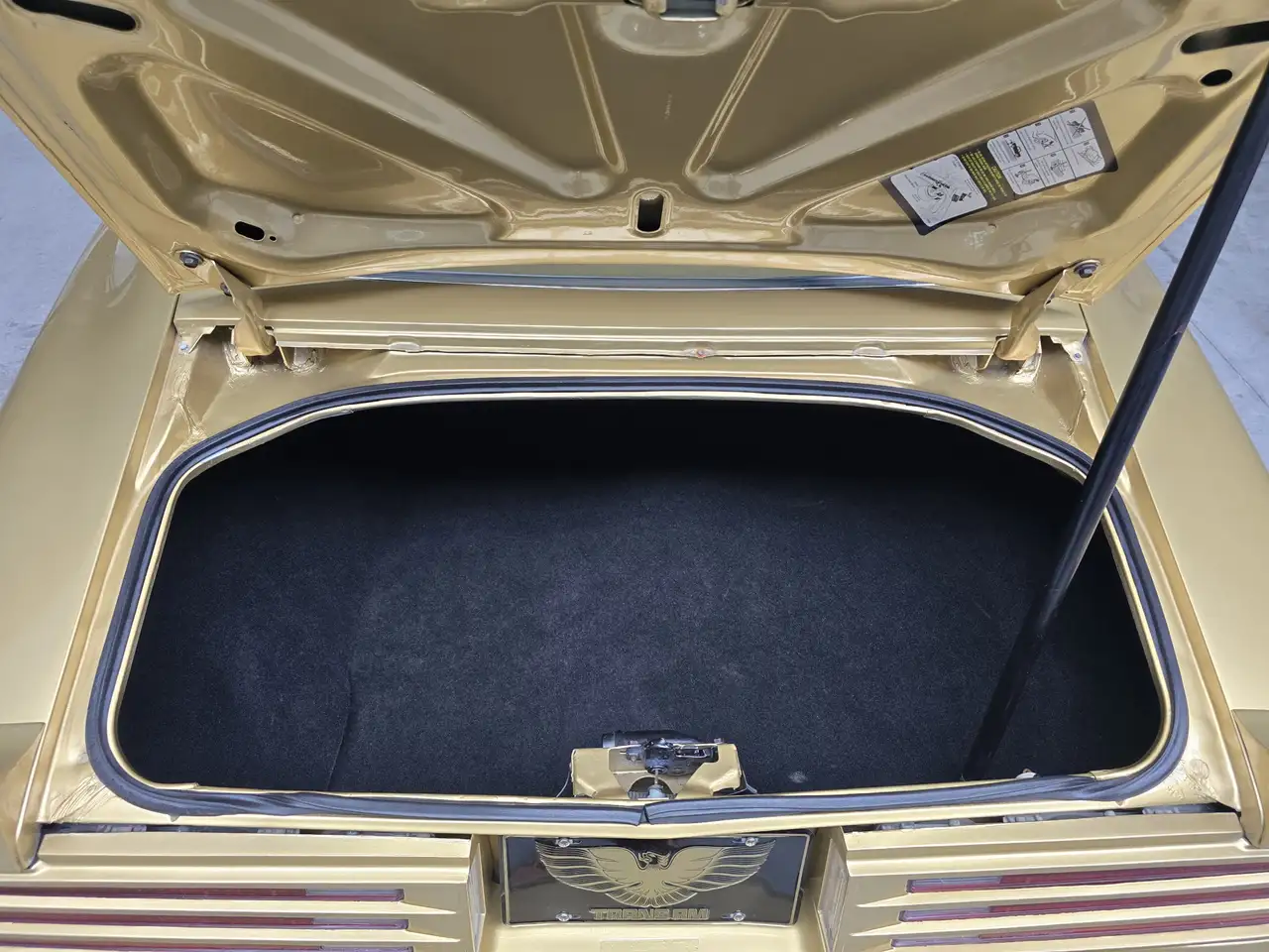 Pontiac Trans Am Firebird 6.6 FW 87 Y88 GOLD SPECIAL EDITION V8 6.6, foto 4