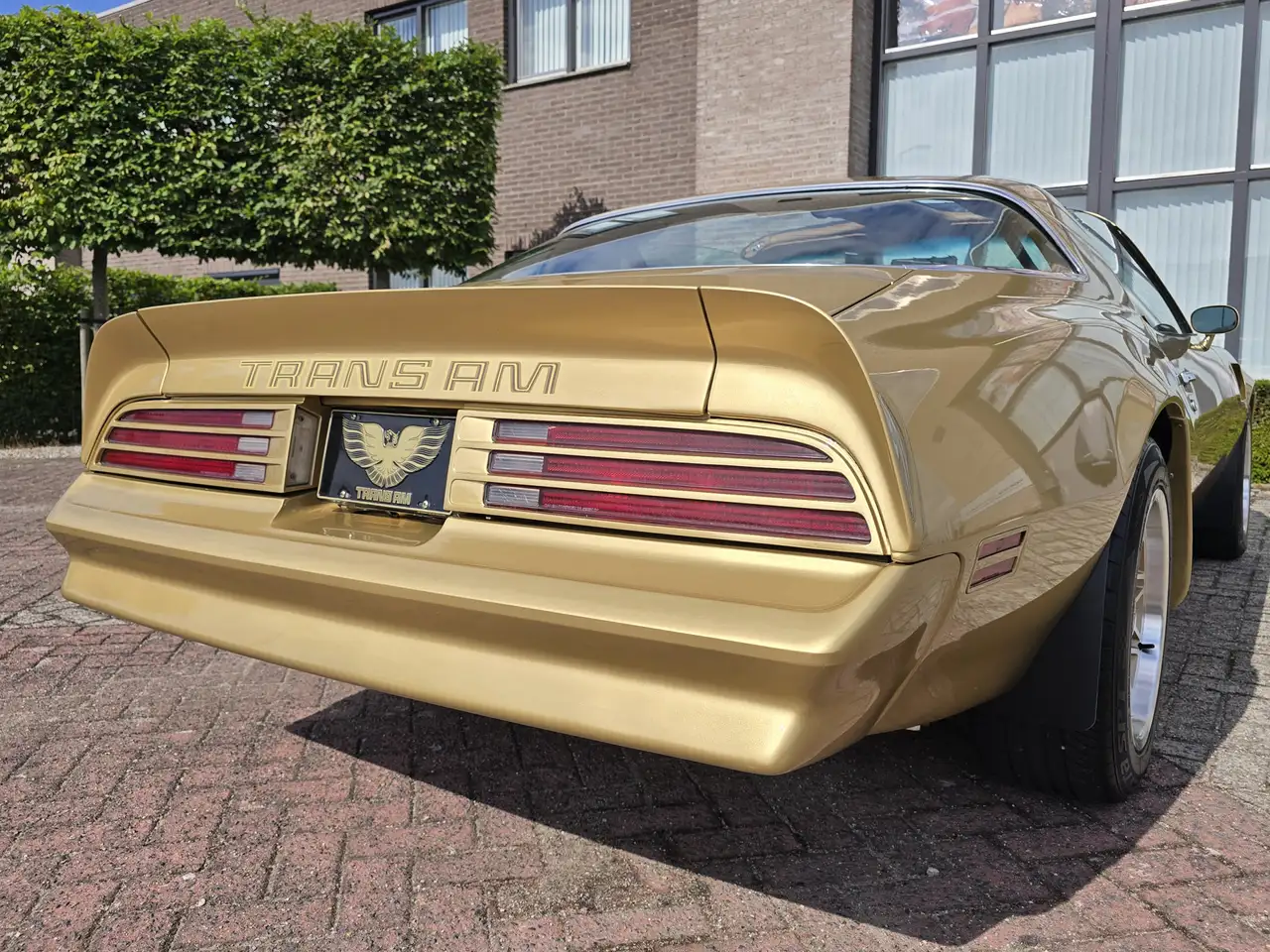 Pontiac Trans Am Firebird 6.6 FW 87 Y88 GOLD SPECIAL EDITION V8 6.6, foto 3