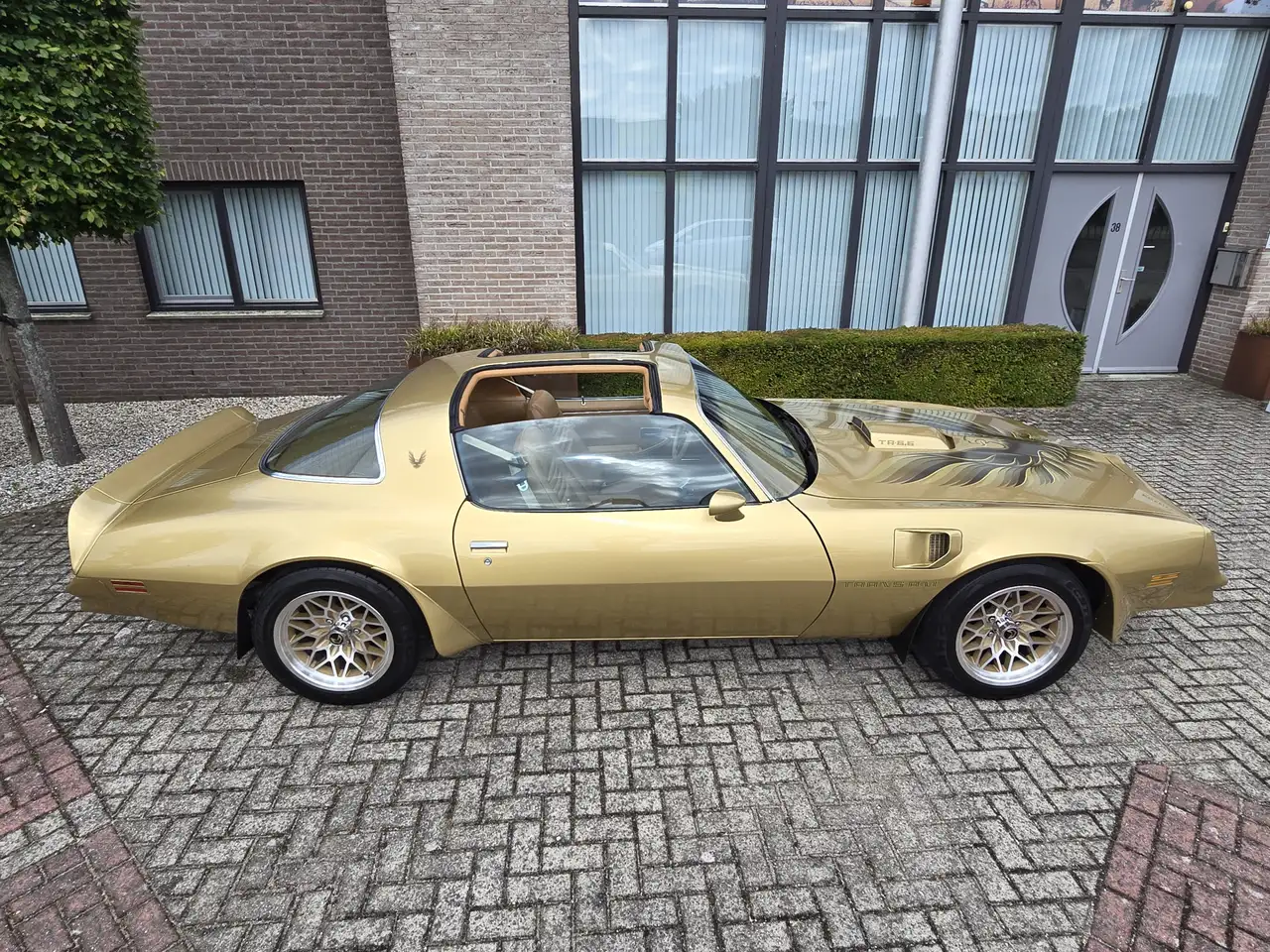 Pontiac Trans Am Firebird 6.6 FW 87 Y88 GOLD SPECIAL EDITION V8 6.6, foto 6