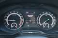 Skoda Karoq 2.0 TDI DSG 4x4 Ambition AHK+LED+PDC+GRA Bleu - thumbnail 25