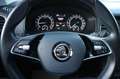 Skoda Karoq 2.0 TDI DSG 4x4 Ambition AHK+LED+PDC+GRA Bleu - thumbnail 22