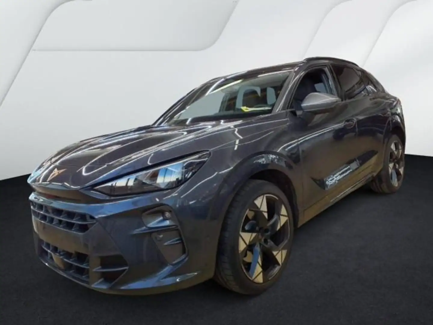 CUPRA Terramar VZ 2.0 TSI 4D LM20 PANO AHK SENNHEISER Grau - 2