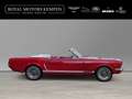 Ford Mustang Cabrio 4,7L V8 Pony-Package US-Import Classic Rosso - thumbnail 3