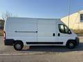 Fiat Ducato Fiat Ducato 2.3 MJT 88kW L3H2 (2011) - thumbnail 2