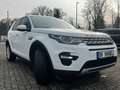 Land Rover Discovery Sport HSE *Panoramadach/Kamera/Navi* Weiß - thumbnail 3