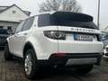 Land Rover Discovery Sport HSE *Panoramadach/Kamera/Navi* Weiß - thumbnail 7