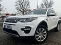 Land Rover Discovery Sport HSE *Panoramadach/Kamera/Navi* Weiß - thumbnail 1