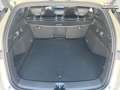 BYD Seal 6 DM-i TOURING Comfort/360°/HUD/SHZ/PANO-DA 135 k... Beige - thumbnail 11