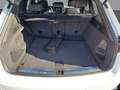 Volkswagen Touareg 3.0 V6 TDI R-Line (EURO 6d-TEMP) 4Motion Weiß - thumbnail 21