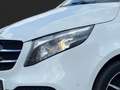 Mercedes-Benz V 220 V 220 d 4M EDITION Lang *NIGHT*AHK*KAMERA*SHZ* Blanc - thumbnail 5