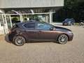 Lexus CT 200h Dynamic Braun - thumbnail 5