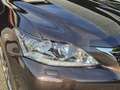Lexus CT 200h Dynamic Braun - thumbnail 3