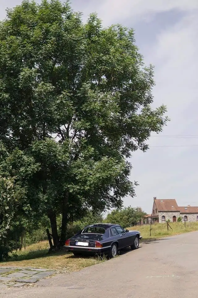 Jaguar XJS Type JNAEC 6 cylindres, foto 4