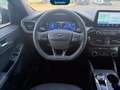 Ford Kuga 2.5 phev st-line 2wd 225cv cvt Blau - thumbnail 10