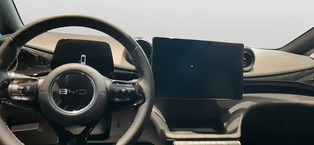 Byd Dolphin view 9