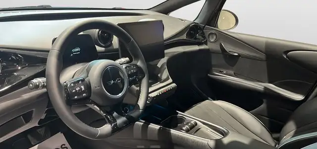 Byd Dolphin view 6