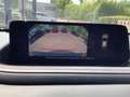 Mazda CX-30 2025 2.5L e-SKYACTIV G 140 Homura Blau - thumbnail 14
