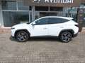 Hyundai TUCSON 1.6 (+48V) 7-DCT 4WD Prime Weiß - thumbnail 4