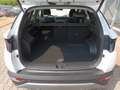 Hyundai TUCSON 1.6 (+48V) 7-DCT 4WD Prime Weiß - thumbnail 17