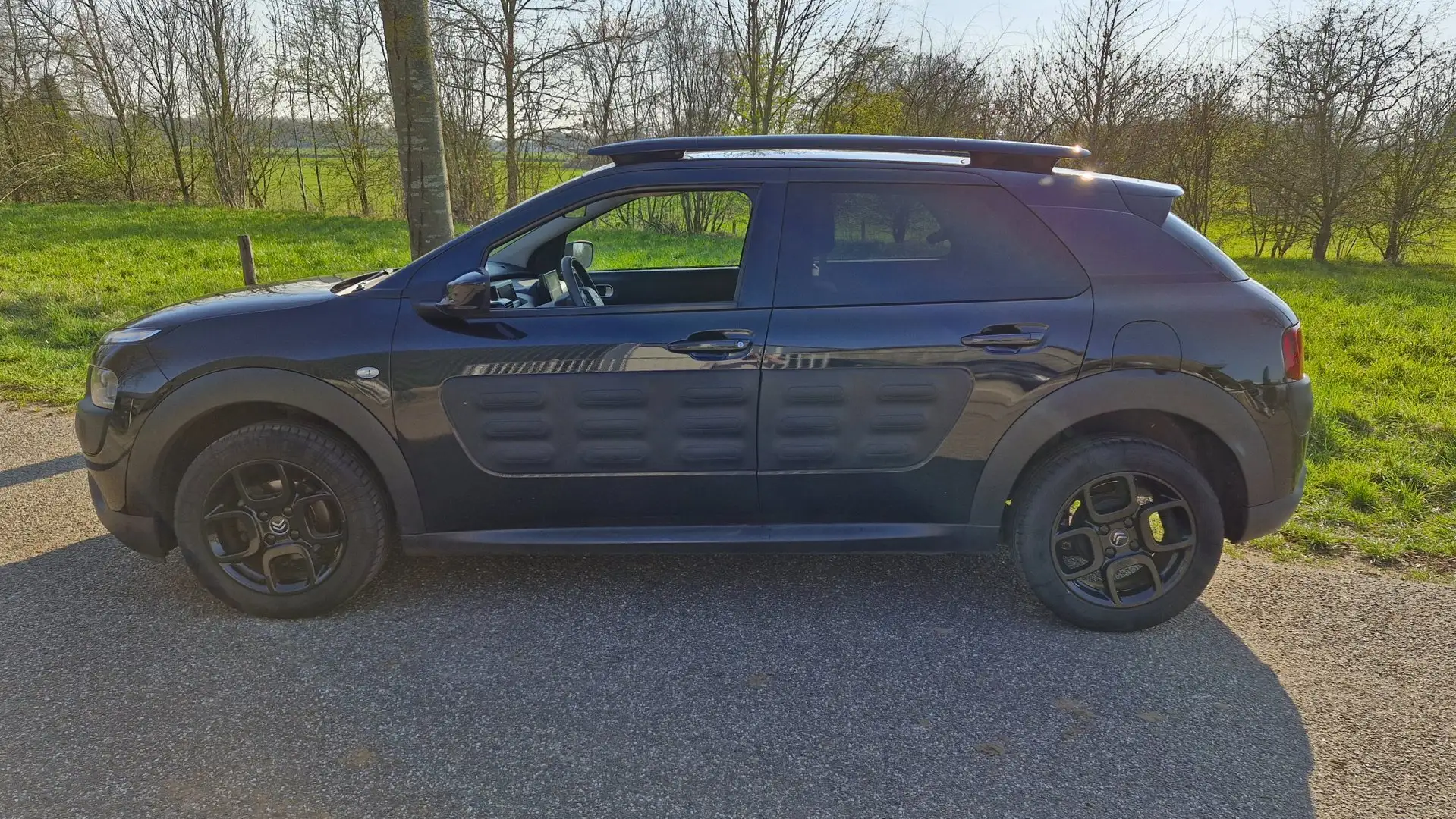 Citroen C4 Cactus 1.2 PureTech Shine 110PK | Rijklaarprijs | Camera Negro - 2