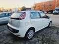 Fiat Punto Evo 5p 1.4 Active 77cv Neopatentati Blanc - thumbnail 6