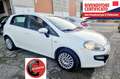 Fiat Punto Evo 5p 1.4 Active 77cv Neopatentati Bianco - thumbnail 1