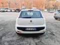 Fiat Punto Evo 5p 1.4 Active 77cv Neopatentati Blanc - thumbnail 5