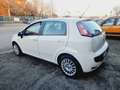 Fiat Punto Evo 5p 1.4 Active 77cv Neopatentati Blanc - thumbnail 4