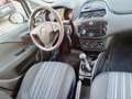 Fiat Punto Evo 5p 1.4 Active 77cv Neopatentati Blanc - thumbnail 11