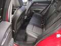 Alfa Romeo Stelvio 2.2 JTDM Super Q4 T-Leder Navi Xenon RFK BiXenon - thumbnail 13