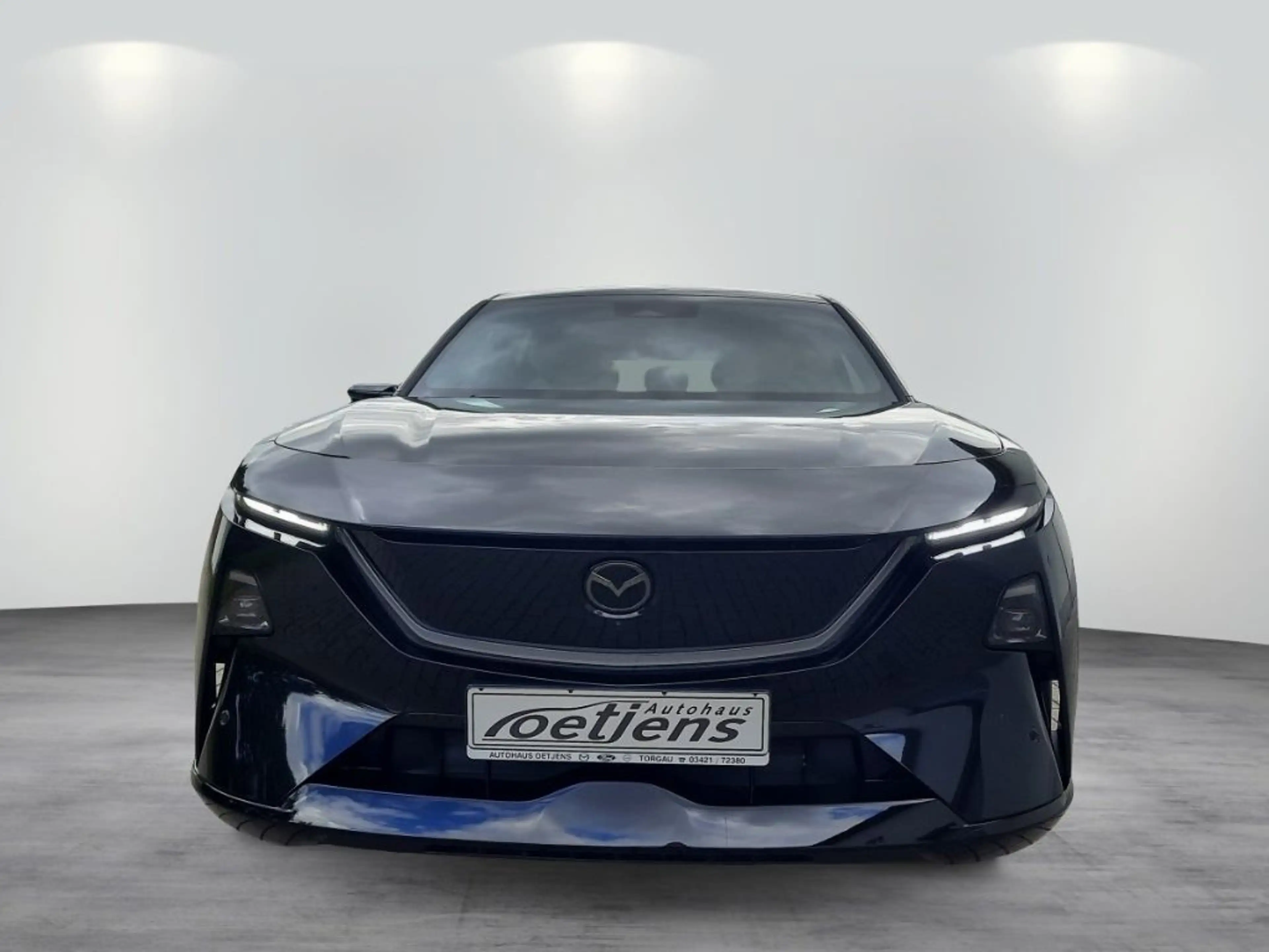 Mazda CX-6e EV 258PS RWD Takumi Plus Takuni — photo 3