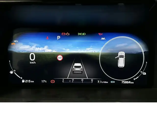 Kia Sorento view 7