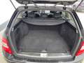 Mercedes-Benz C 250 C T-Modell C 250 T CGI Avantgarde Schwarz - thumbnail 21