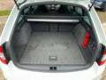 Skoda Octavia Combi 2,0 TSI RS Challenge Navi+Pano+AHK Weiß - thumbnail 14
