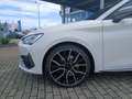 CUPRA Leon SP TSI DSG LED AHK Navi ACC RFK SH Weiß - thumbnail 11