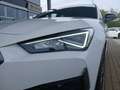 CUPRA Leon SP TSI DSG LED AHK Navi ACC RFK SH Weiß - thumbnail 25
