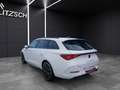 CUPRA Leon SP TSI DSG LED AHK Navi ACC RFK SH Weiß - thumbnail 5