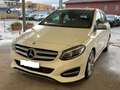 Mercedes-Benz B 200 200d 7G-DCT Weiß - thumbnail 12