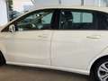 Mercedes-Benz B 200 200d 7G-DCT Weiß - thumbnail 14