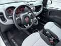 Fiat Panda 1.2 Lounge Flex-Paket1 Blanc - thumbnail 14
