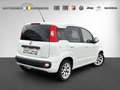 Fiat Panda 1.2 Lounge Flex-Paket1 Blanc - thumbnail 2
