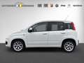 Fiat Panda 1.2 Lounge Flex-Paket1 Blanc - thumbnail 5