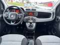 Fiat Panda 1.2 Lounge Flex-Paket1 Blanc - thumbnail 13