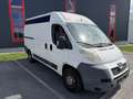 Peugeot Boxer 3000 L2H2 2,2 HDi 120 Weiß - thumbnail 2