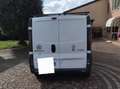 Renault Trafic Blanc - thumbnail 4