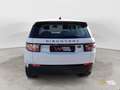 Land Rover Discovery Sport Discovery Sport 2.0 TD4 150 CV Auto Business Edit White - thumbnail 7