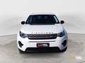 Land Rover Discovery Sport Discovery Sport 2.0 TD4 150 CV Auto Business Edit White - thumbnail 8